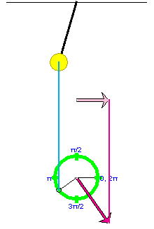 Velocity Vectors